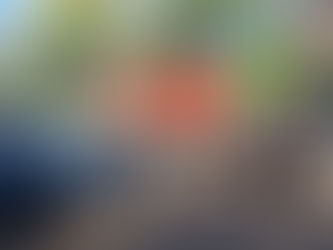 MÊS DA BÍBLIA: Setembro.