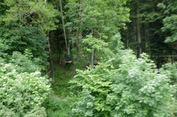 P1030681