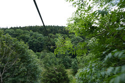 P1030656