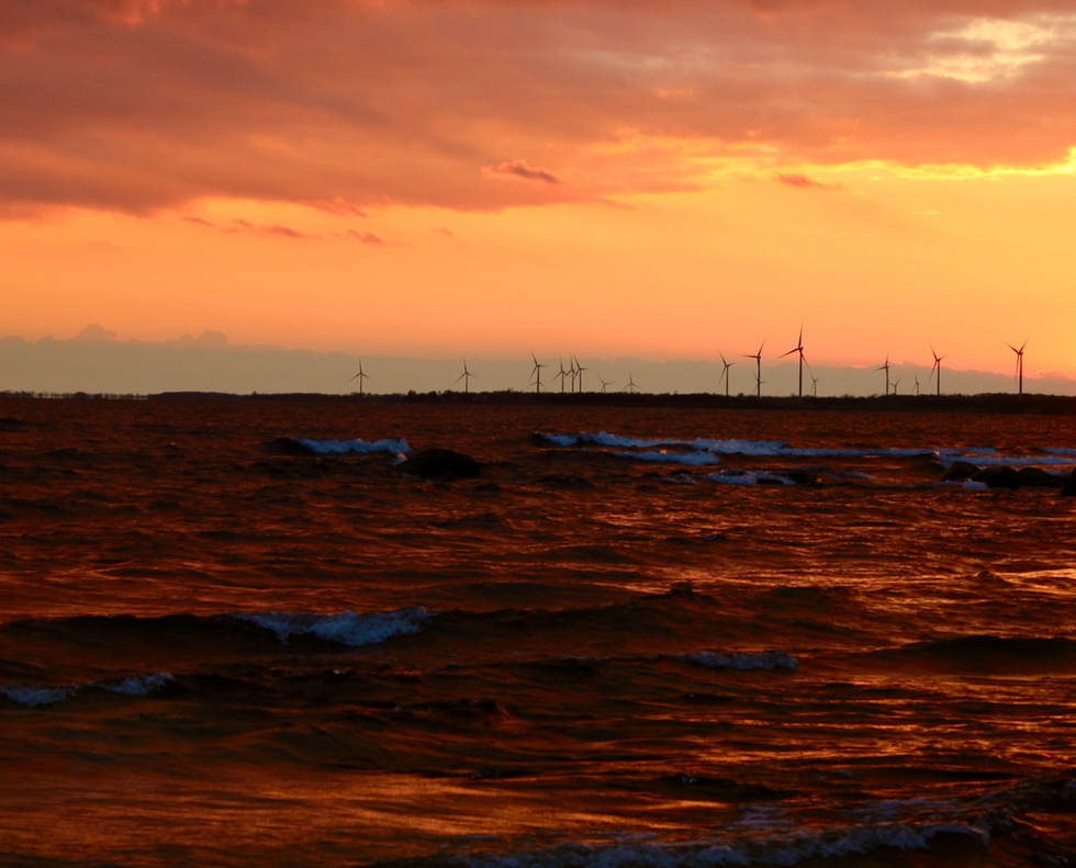 Screenshot 2026-03-26 at 4.48.29 PM.png