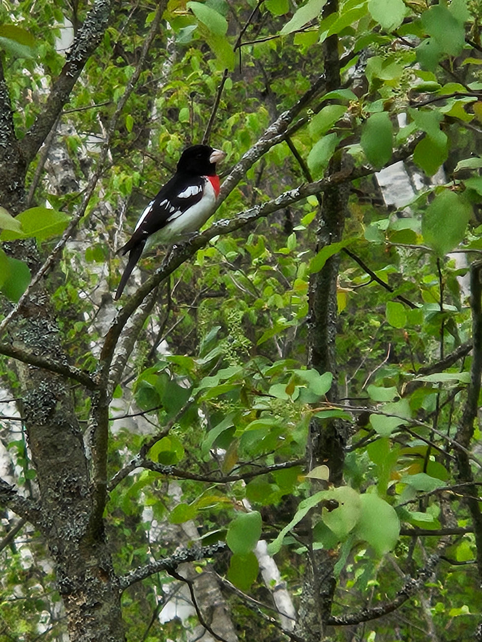 B5AA1727-AC6E-4B82-8F38-BCFE0BBE934820240517_155821