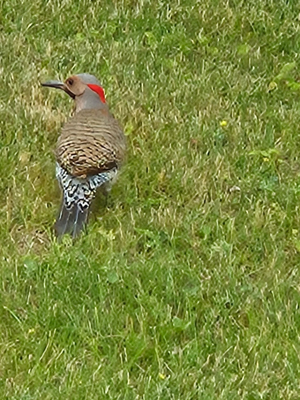 427816A0-1888-4B01-ADA8-10EE932E1FD74390396235869971574