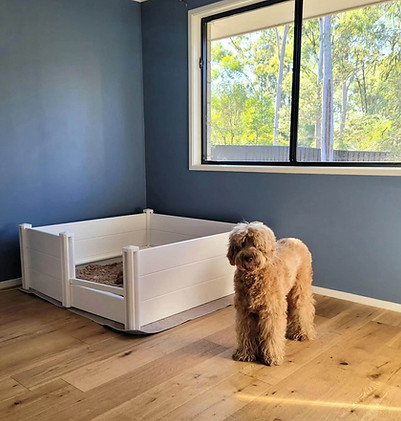 whelping room