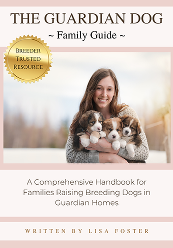 The Guardian Dog - Family Guide