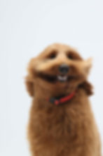 297525085_1255282271886068_8929921321488070113_n