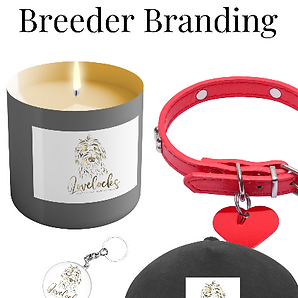 Screenshot 2025-12-05 084952.png