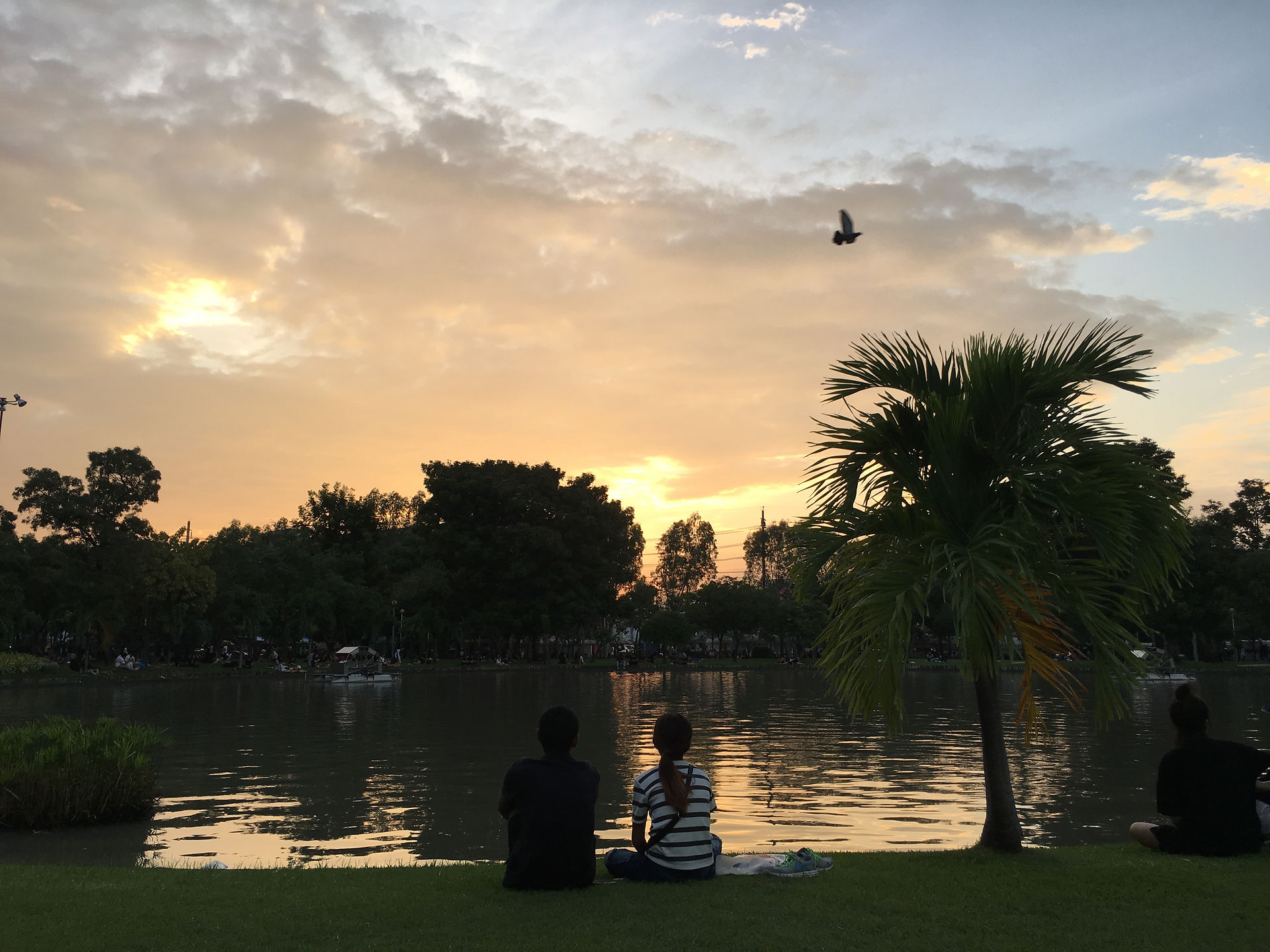 Chatuchak Park
