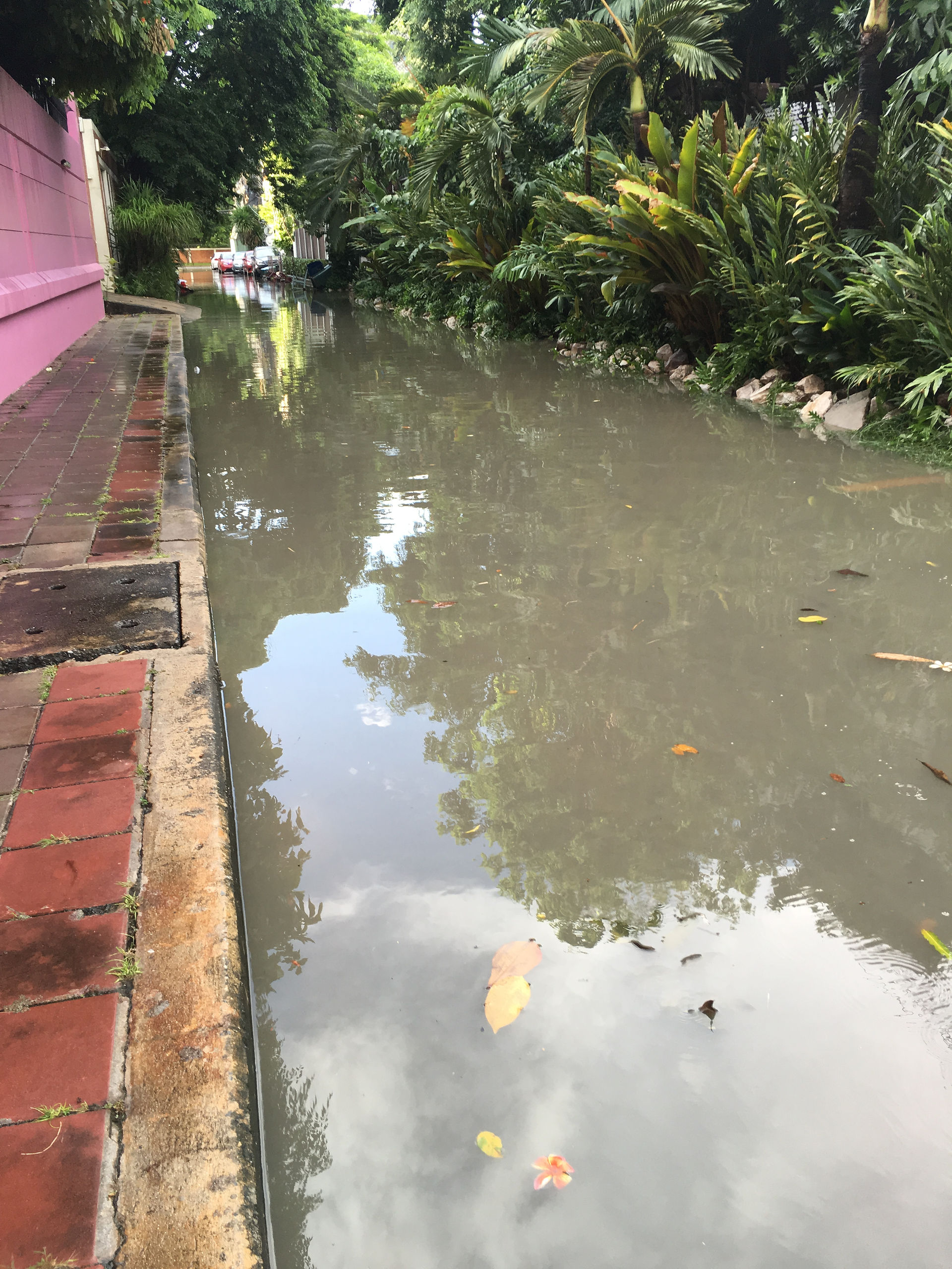 Flooded soi