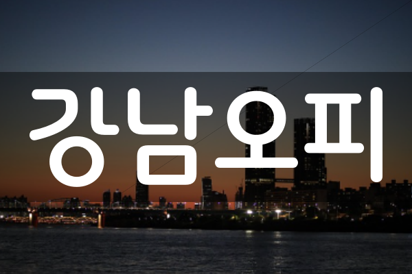 강남OP-강남오피-강남구오피-단밤오피