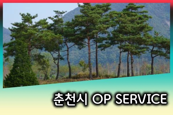 춘천OP-춘천오피-한국오피사이트