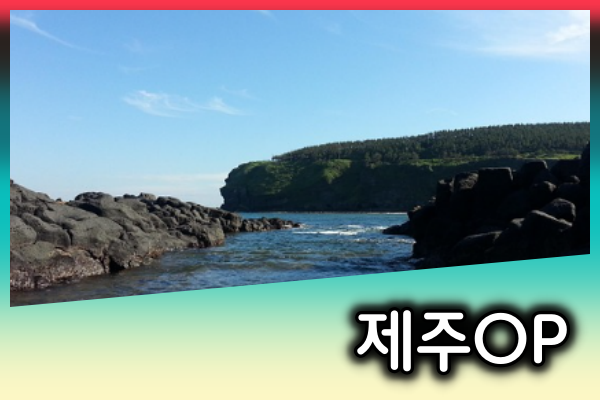 제주OP-제주도오피-한국오피사이트