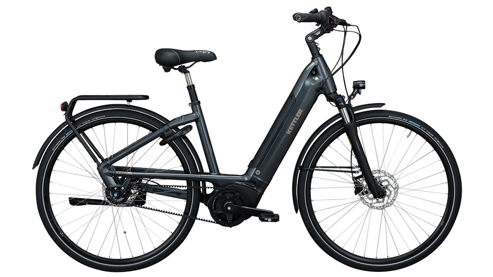 Kettler E-Bike Traveller E Gold Pro Belt 2019 Damenvelo 46