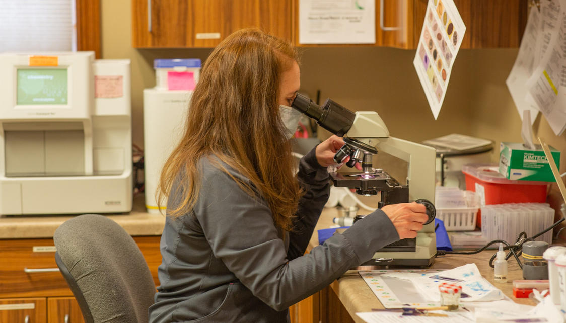 Full Service Care for Large & Small Animal Vet Associates Galena & Hazel Green