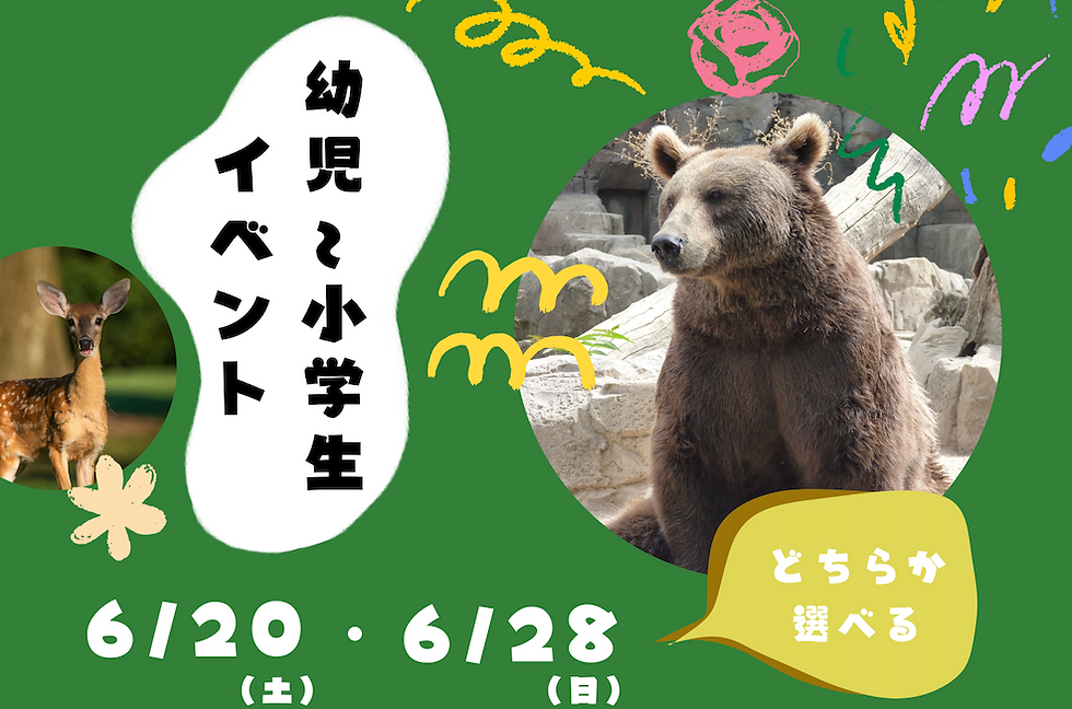 GEC幼児＆小学生 Animal Event