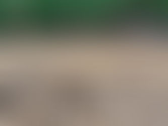 Burdine and Flooding