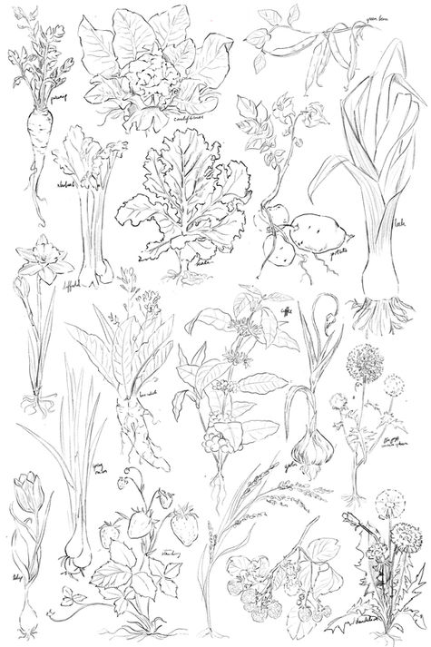 Stardew - Spring Crops