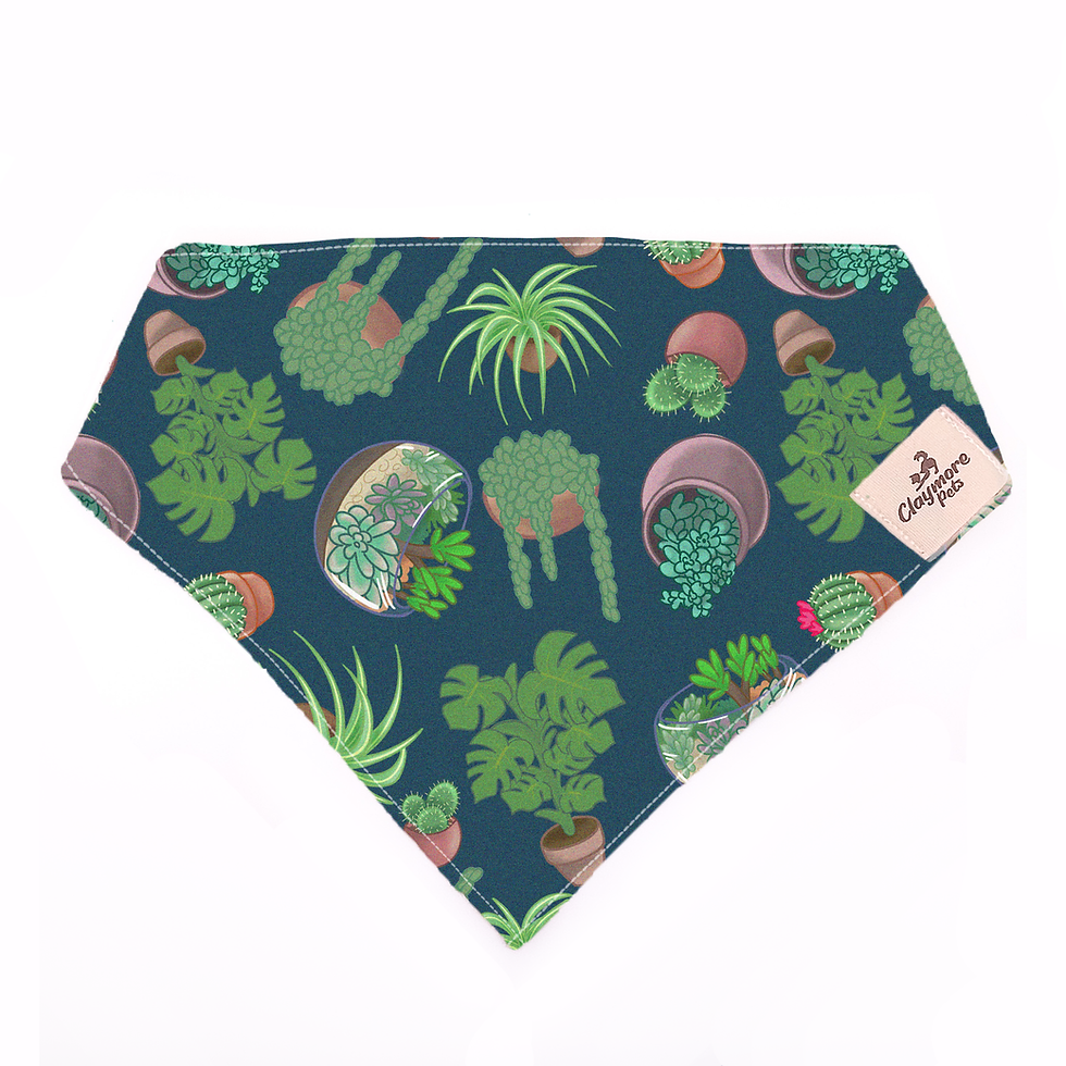 Thumbnail: Plants & Plants