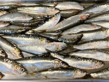 Filet de sardine