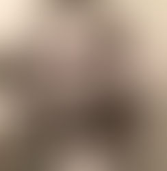 Le chat Bébert