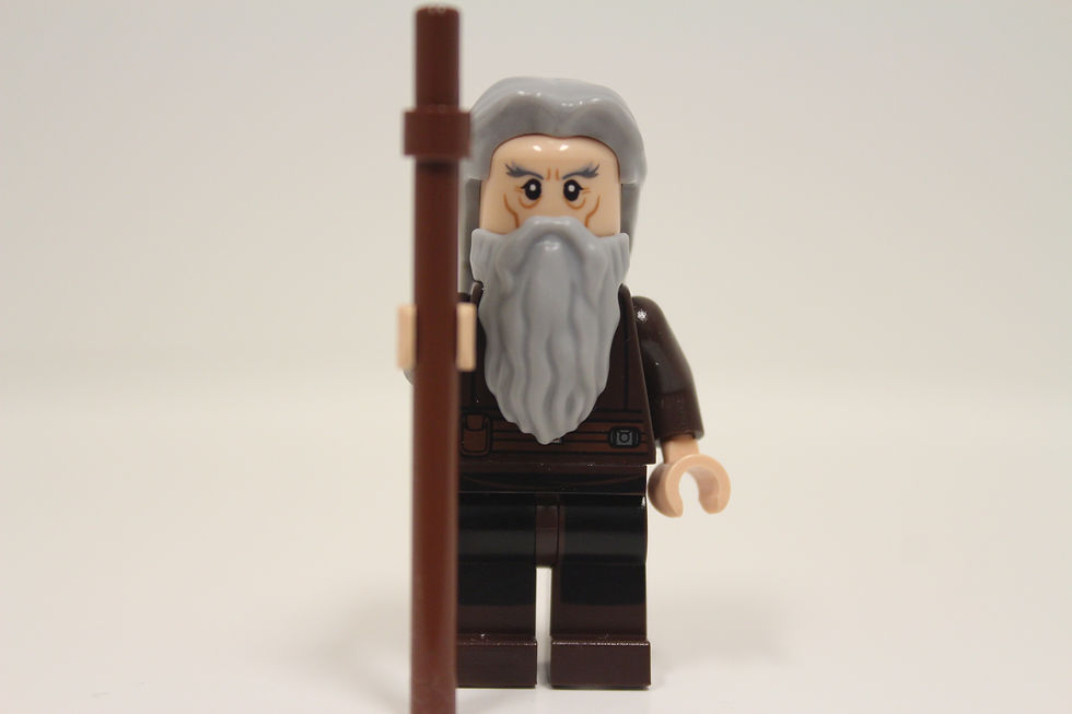 Custom Lego Moses