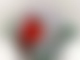 “Warmth in the Cold” (Cardinal in the Snow) // Alcohol Ink & Acrylic Paint on Ceramic Tile