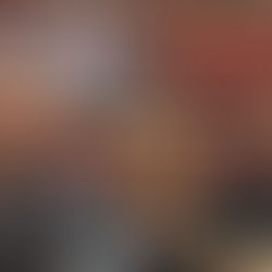 Insieme in Parlamento per chiedere al Governo Meloni di aprire gli occhi sulla crisi del Trasporto Pubblico Locale