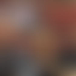 Insieme in Parlamento per chiedere al Governo Meloni di aprire gli occhi sulla crisi del Trasporto Pubblico Locale