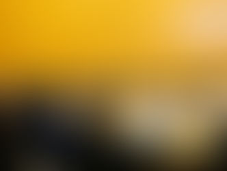 Un grande onore rappresentare la Camera durante i lavori dell'OECD Parliamentary Network