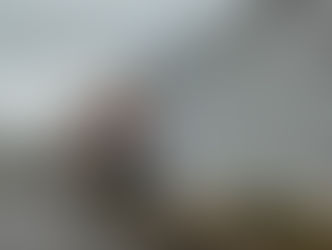 Il mio primo Natale da parlamentare