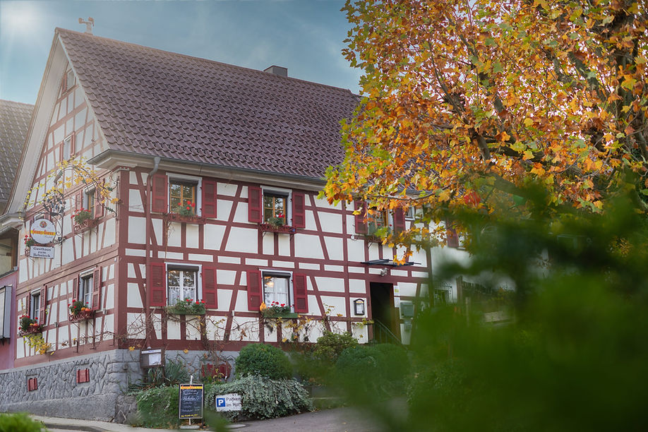 Haus kompr.jpg