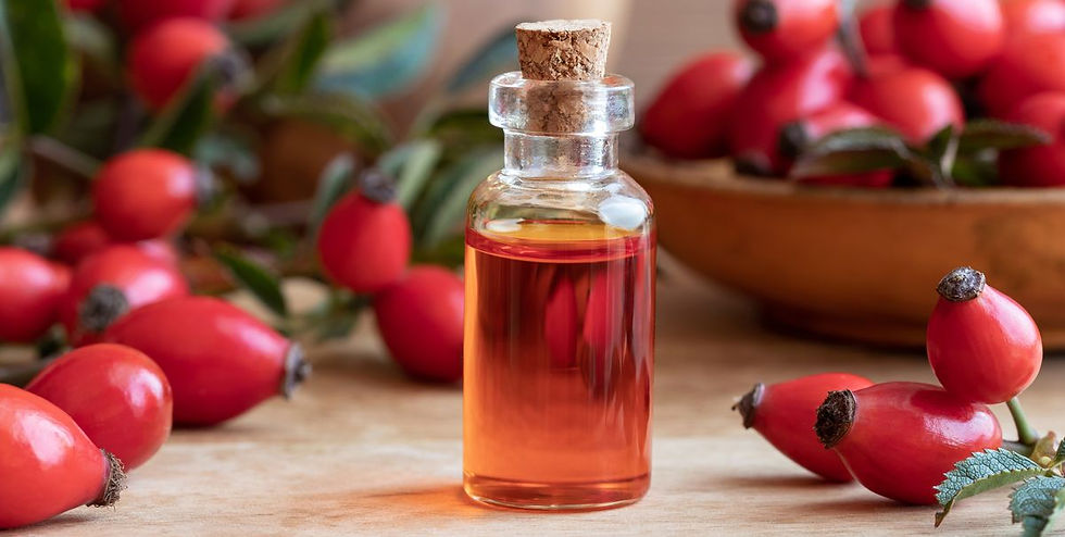 Rosehip oil - Benefits, uses & effects - AEQUA