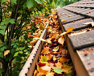 gutters full of some leaves.jpg