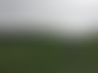 Saints vs Saints: The Match That Led to a Bruising Draw