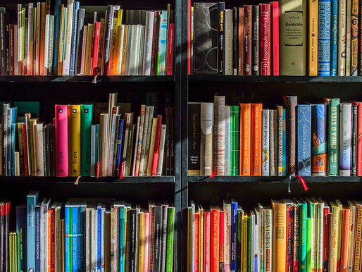 Campus Novels Are What We Need