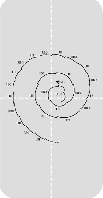 USFS Basic Consecutive Edges