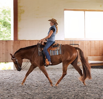 Rikke WHS Pattern 1.jpg