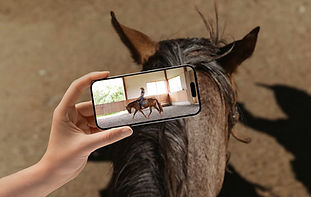 The POV of someone watching a trainingvideo while riding their horse
