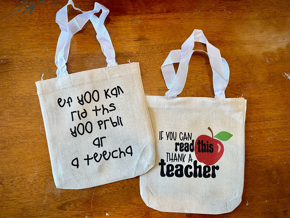 Teacher Bag