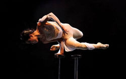 10428574_849955658357334_8119108364213284606_n