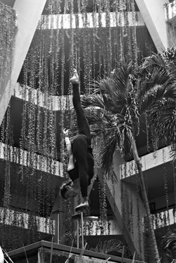 11262493_10152772554846286_1704464763756405514_o