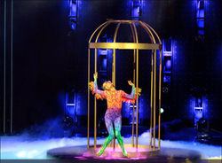 12792179_1141481999204697_2022838234140636802_o