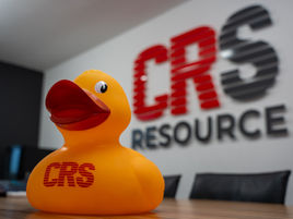 National Rubber Duck Day