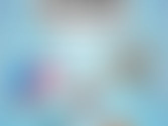 When AI Recommendations Conflict With User Evidence