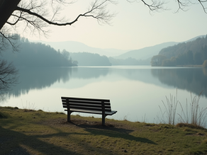 Empty seat on a peaceful and serene lake
