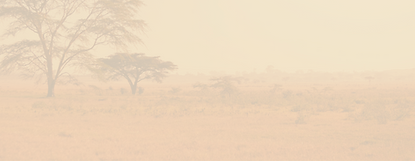 africa