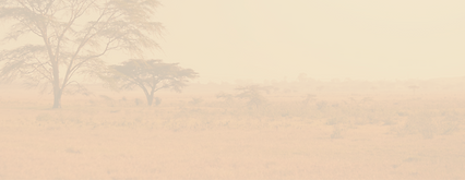 africa