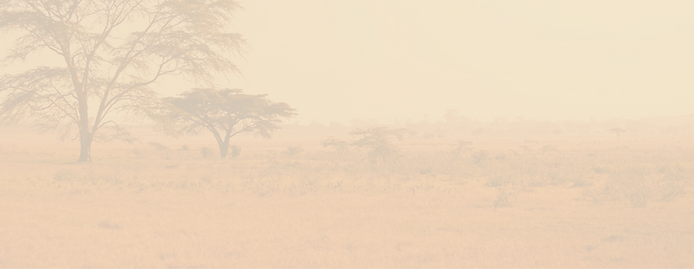 kenya