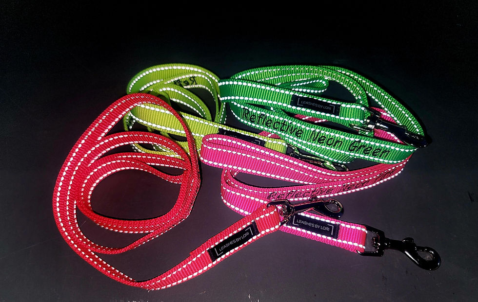 Thumbnail: 3/4" Reflective Leash