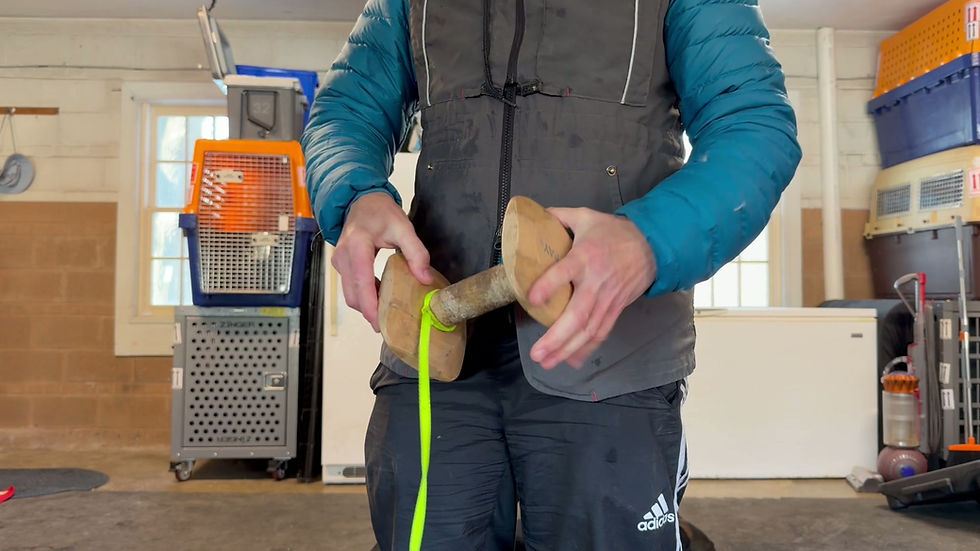 Thumbnail: Dumbbell Lines