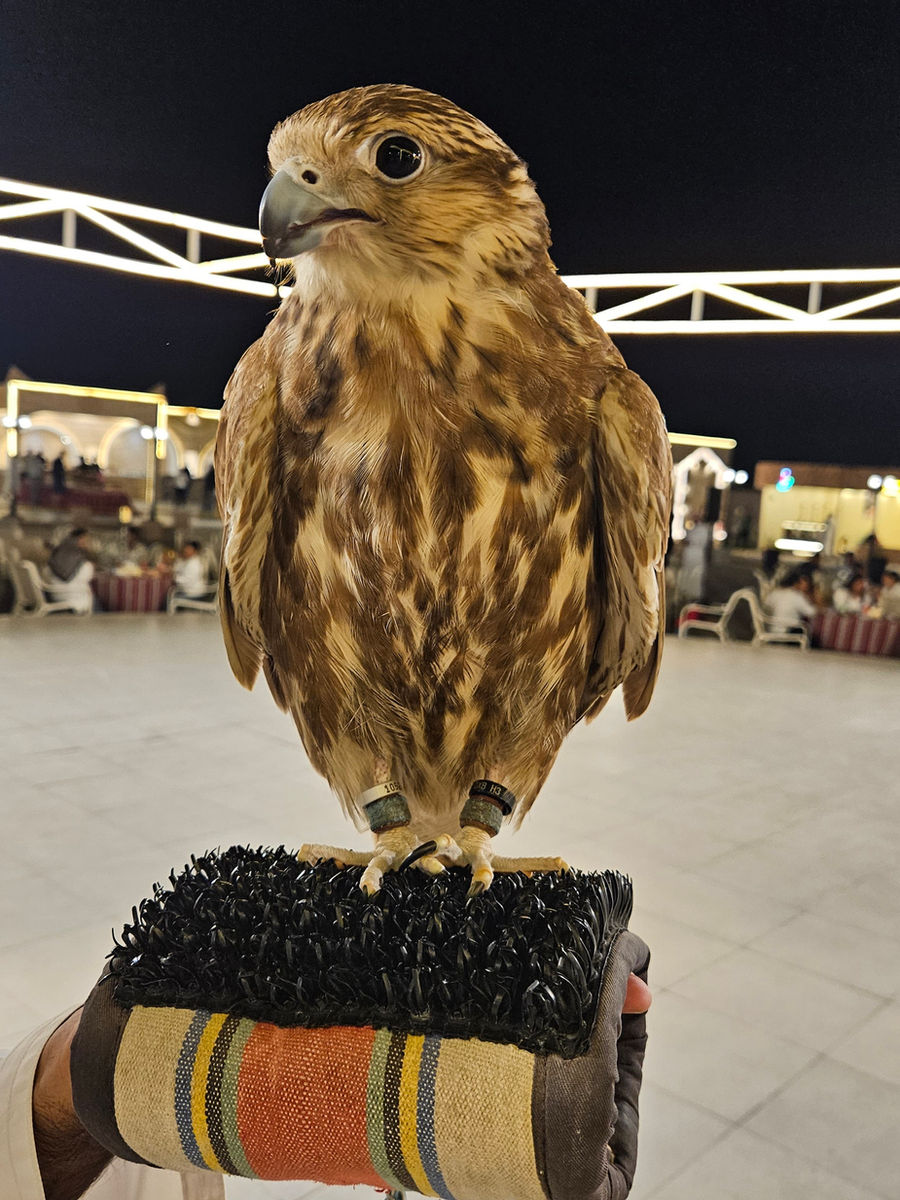 Devansh holding the eagle